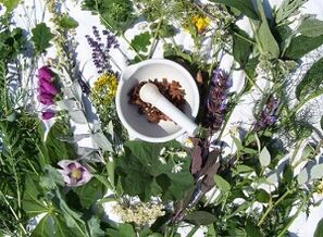 Vaistažolės osteochondrozei gydyti